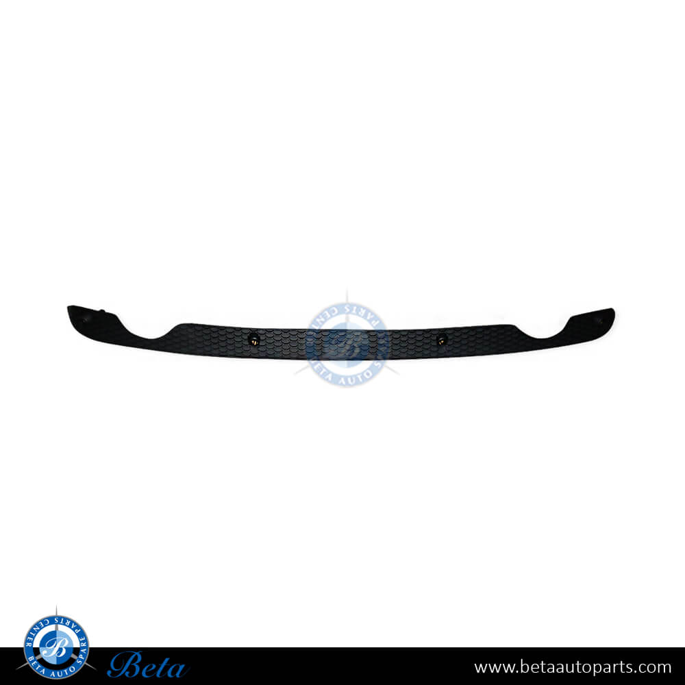 Rear Diffuser Grille for Audi Q5 S-Line 2009-2017 models, Part Number 8R0807823E Rear Diffuser Grille for Audi Q5 S-Line 2009-2017 models, Part Number 8R0807823E